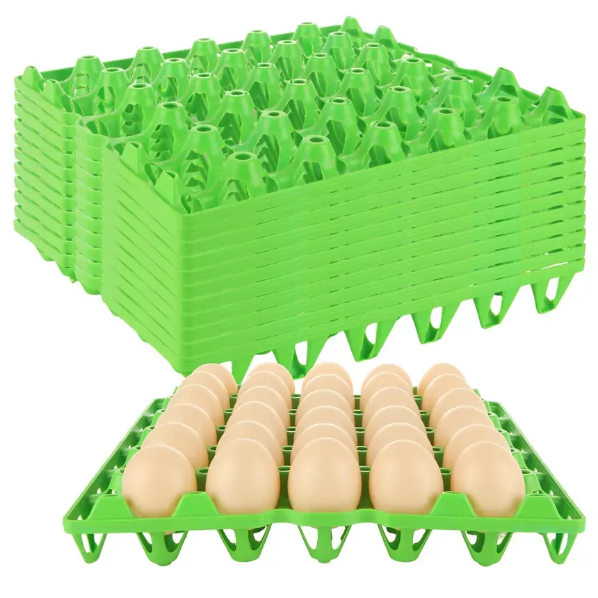 Plastic Egg Tray