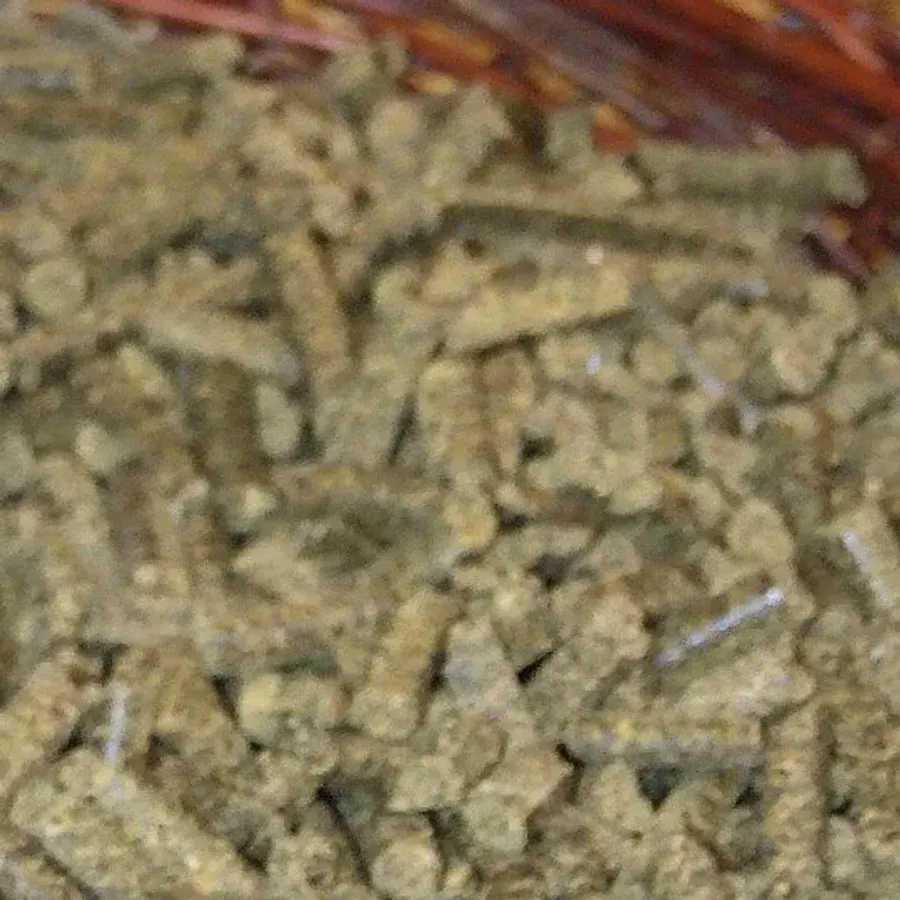 Cotton Seed Cake