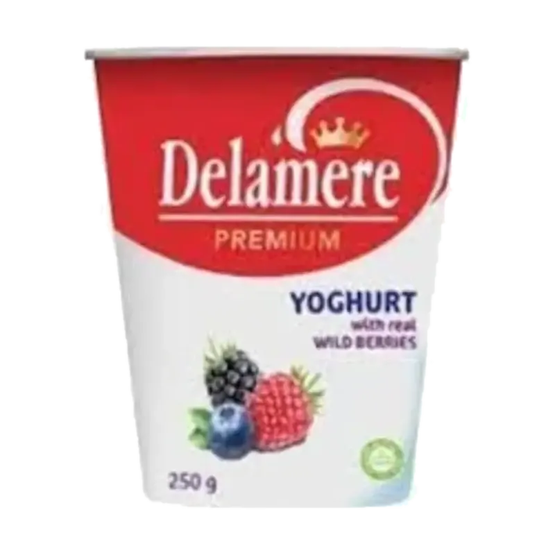 Premium Wild Berries Yoghurt, 250 g cup